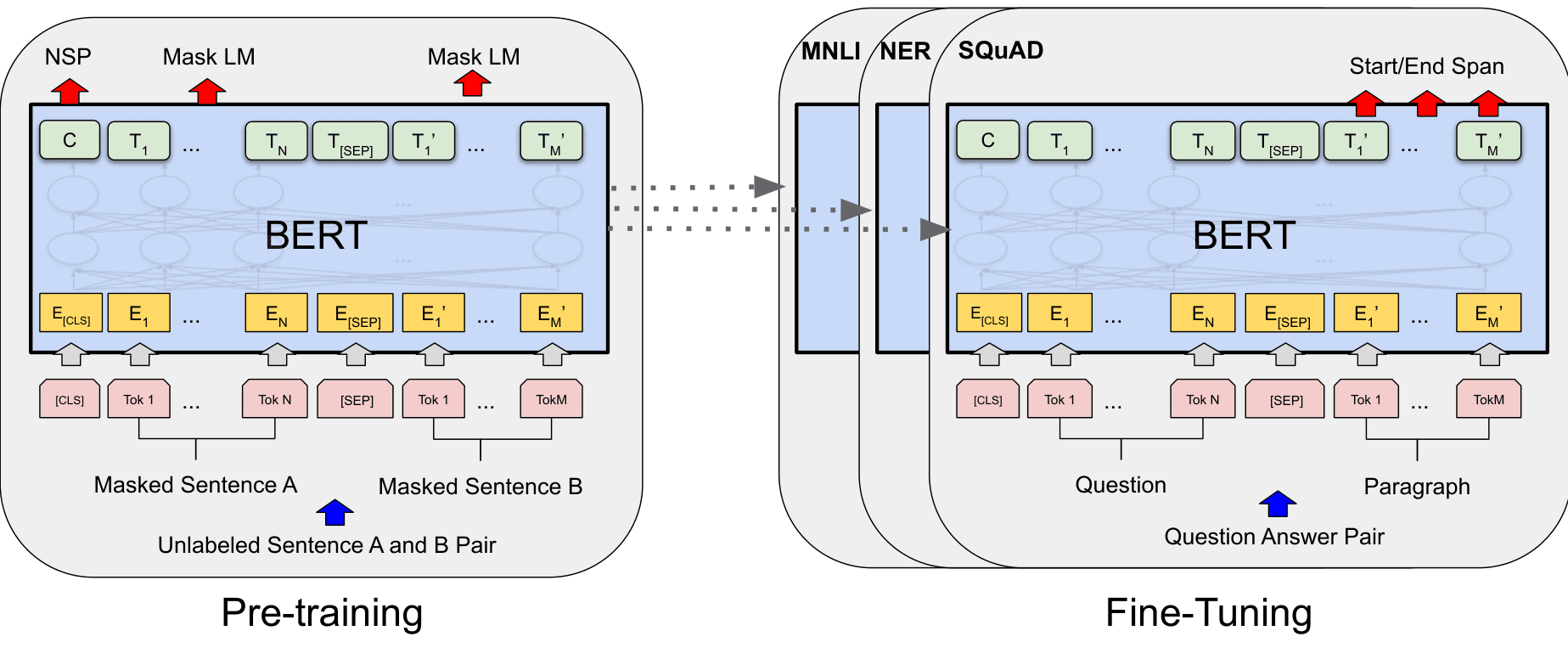 Two-panel diagram: BERT pre-training on masked-LM and next-sentence prediction from an unlabeled sentence pair (left), and fine-tuning the same architecture on downstream tasks such as MNLI, NER, and SQuAD (right).